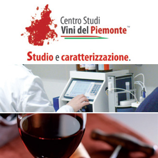 Centro Studi Vini del Piemonte